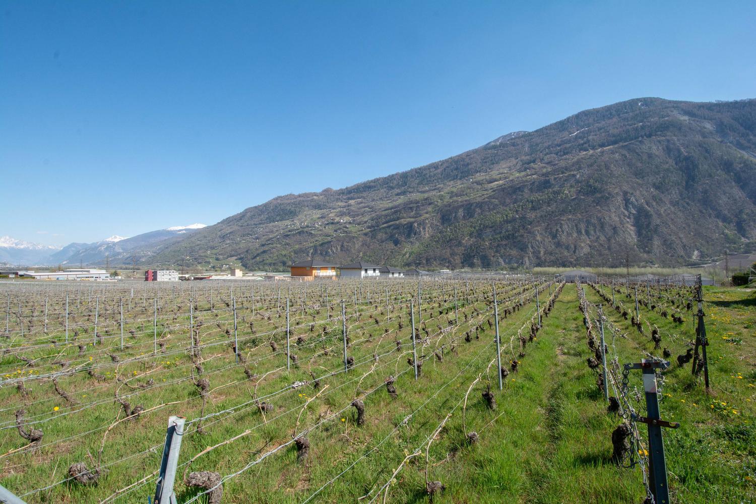 Terrain StPierredeClages ImmoScout24