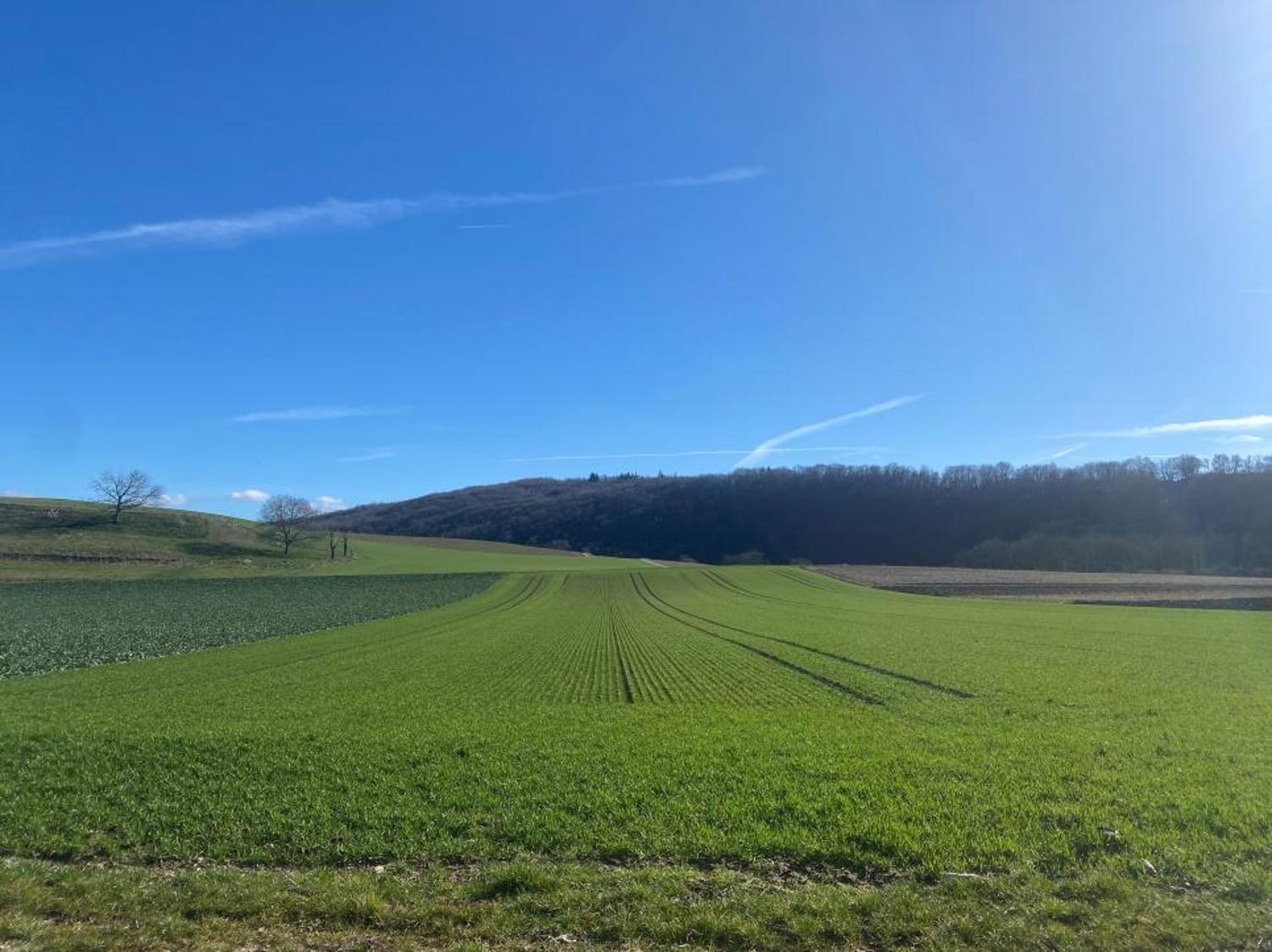 Magnifique D gagement Sur La Campagne Bel Appartement Au Rez Avec magnifique-d-gagement-sur-la-campagne-bel-appartement-au-rez-avec