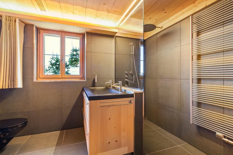 Salle d'eau avec douche / Badezimmer mit Dusche / Bathroom with shower