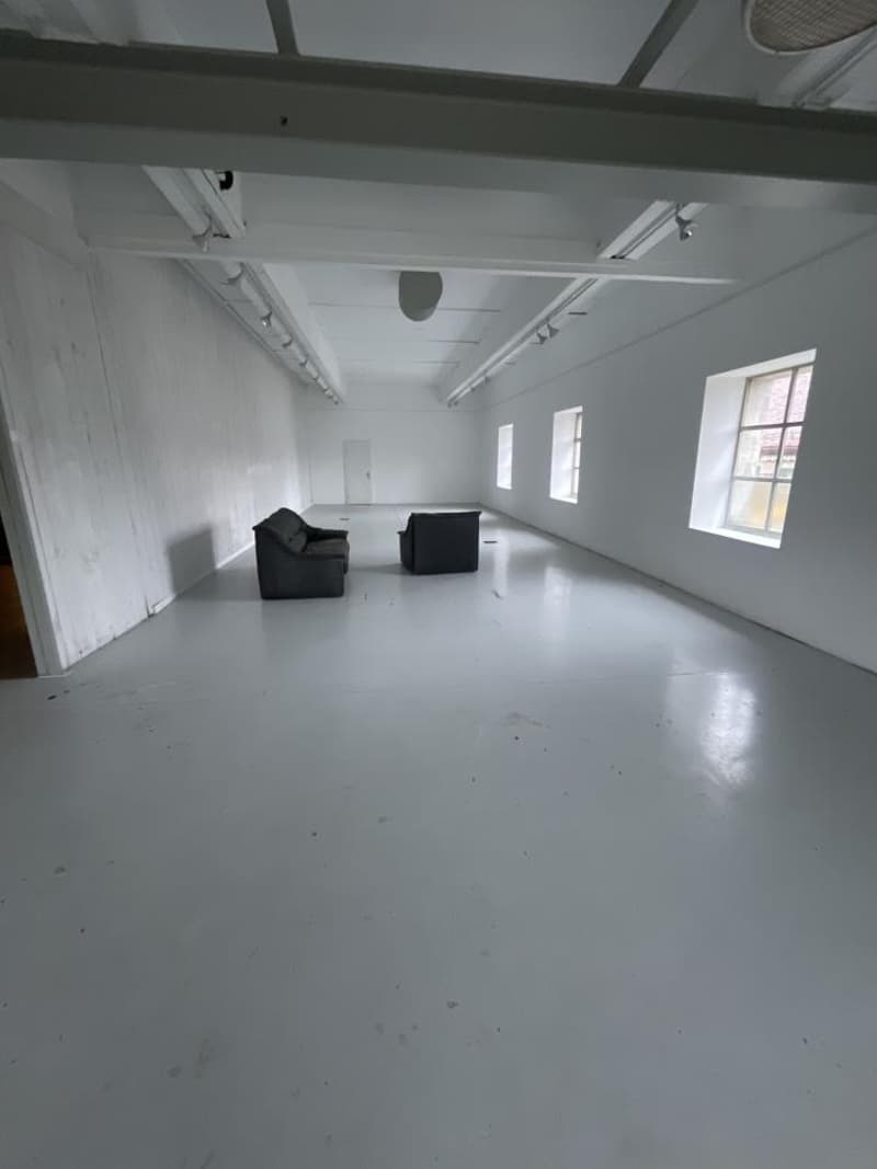 Surface artisanale / galerie d'art / dépôt / atelier / divers de 400 m2 avec hauts plafonds à Ballens (1)