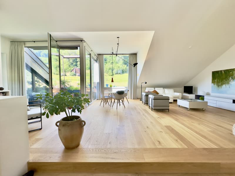 Exklusive Dach-Maisonettewohnung mit Licht & Raum (1)