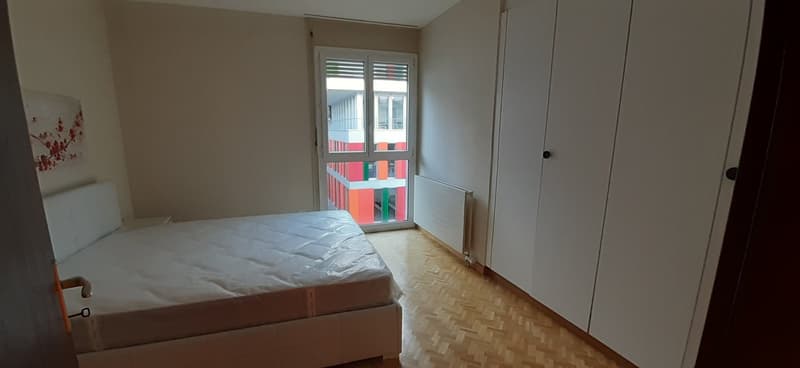 Appartamento 6.5 locali ristrutturato a Lugano - Pazzallo (2)