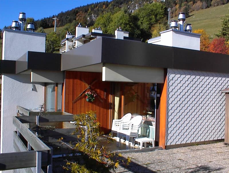 Bel appartement avec terrasse sur le toit Leysin location vacances (10)