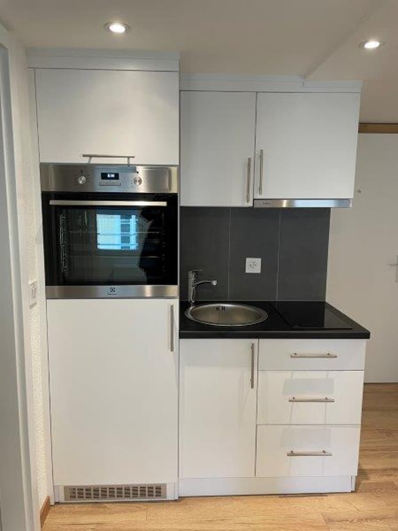 modern kitchen, stainless steel appliances, white cabinetry, wooden floor