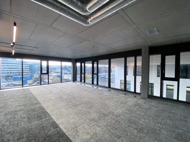 Voll ausgebaute und gekühlte Büroflächen mit grosser Terrasse. (2)