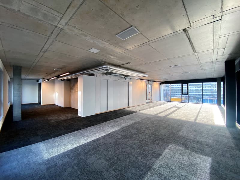 Voll ausgebaute und gekühlte Büroflächen mit grosser Terrasse. (1)