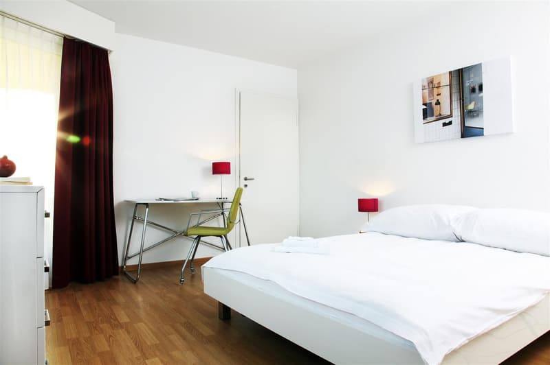 Furnished 2-bedroom Apartment near Hirslanden, Balgrist / Möbliertes 2-Zimmer Apartment (1)