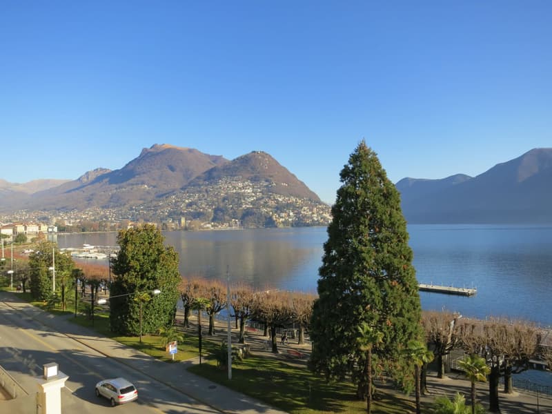 Lussuosi appartamento in prima fila sul lago di Lugano (3)