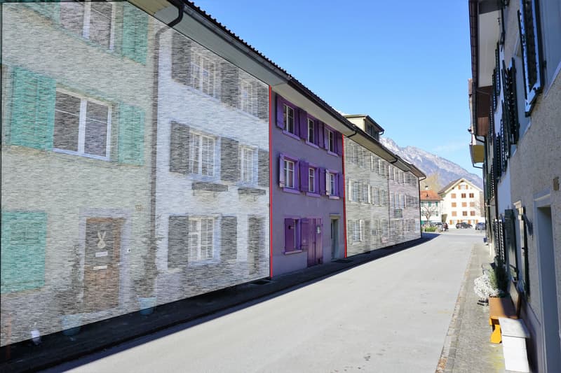 Reihen-Einfamilienhaus mit angrenzendem / separatem Ökonomie-Gebäude (1)
