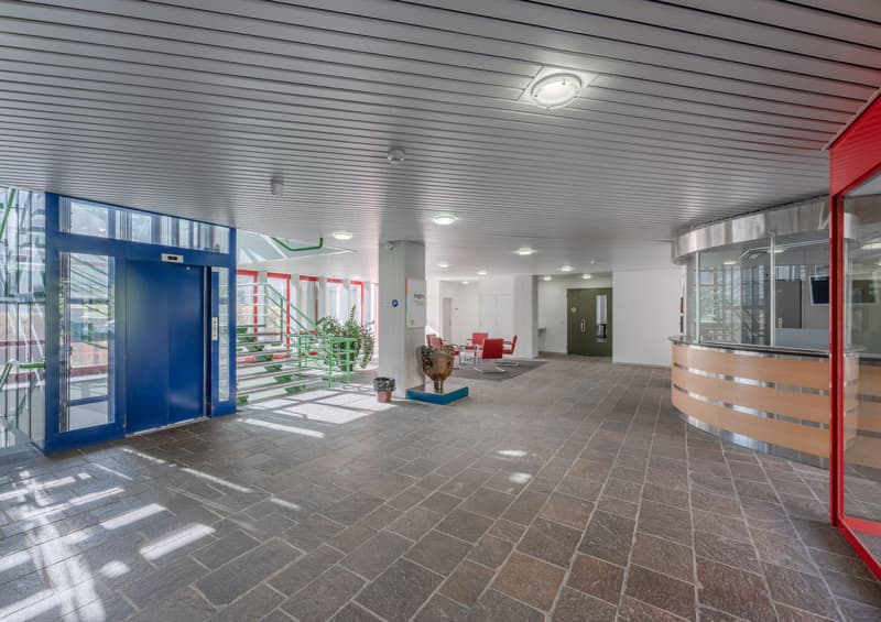 Büro / Praxis / Schule / Zentrum | 1'240 m² (1)