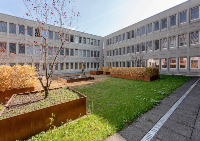 Büro / Praxis / Schule / Zentrum | 1'240 m² (2)