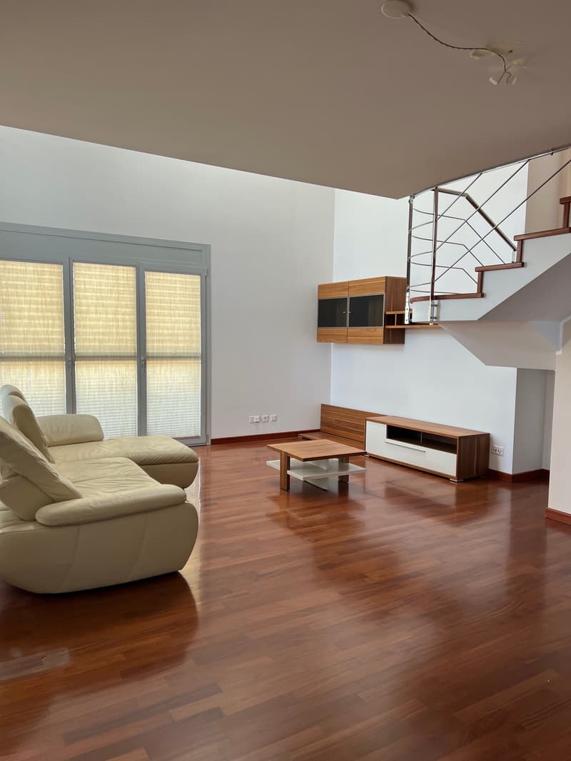 LUGANO – PREGASSONA – Ampio attico duplex con grande terrazza (1)