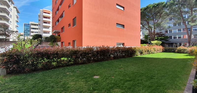 Appartamento con ampio giardino a Lugano (13)