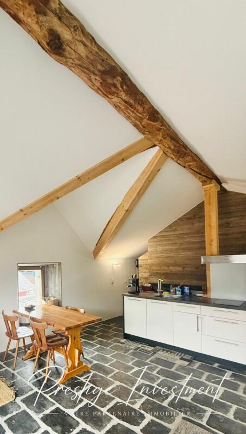 CHARMING RENTAL STUDIO - 52 M2, MASE! (MONT-NOBLE) (3)