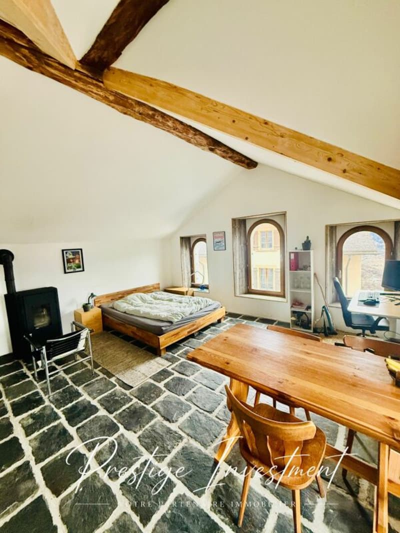 CHARMING RENTAL STUDIO - 52 M2, MASE! (MONT-NOBLE) (6)