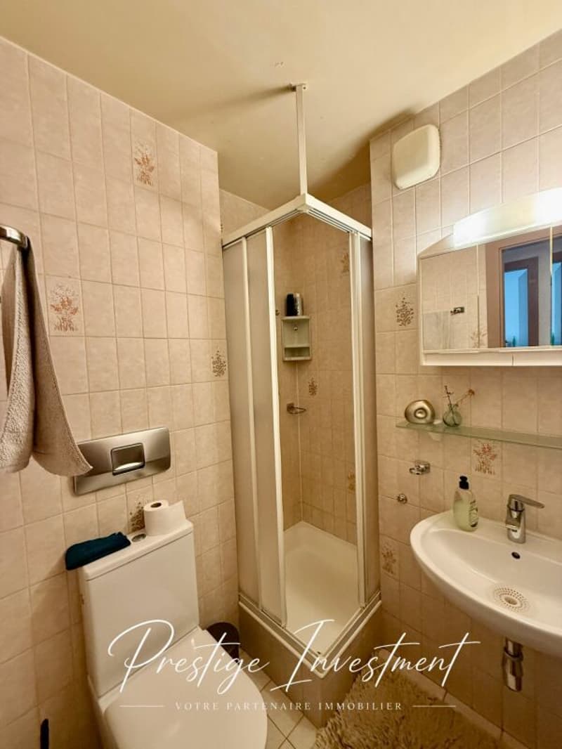 Helles 5-Zimmer-Wohnung, 119 m2, Sion (10)