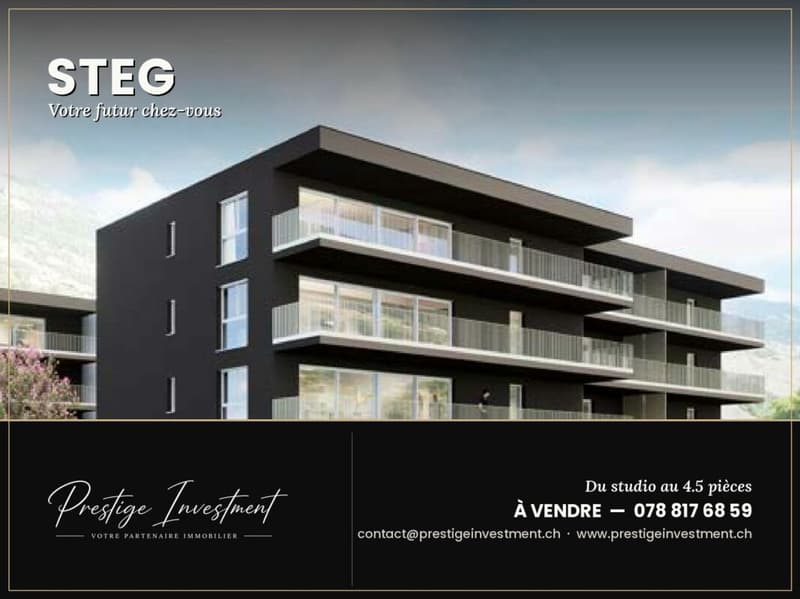 New Promotion in Steg, Valais (1)