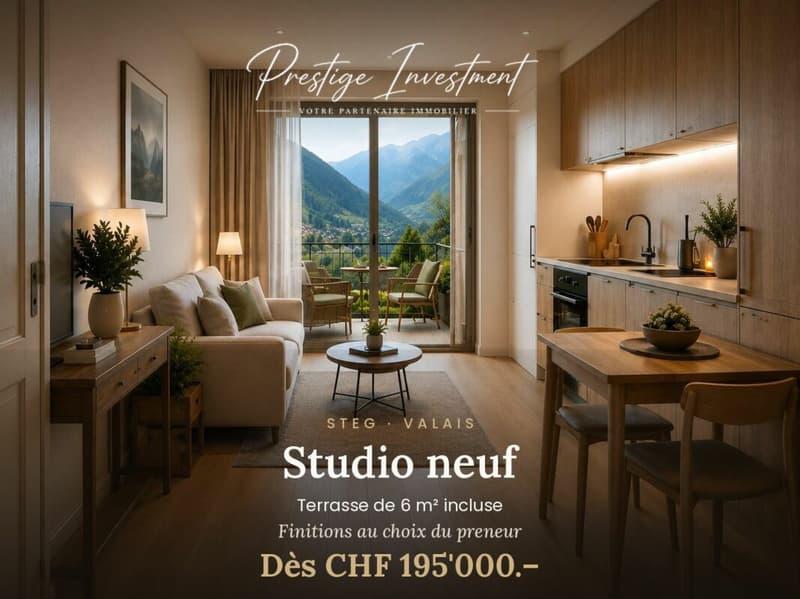 STUDIO NEU IN STEG (VS) - AB CHF 195'000.- (1)
