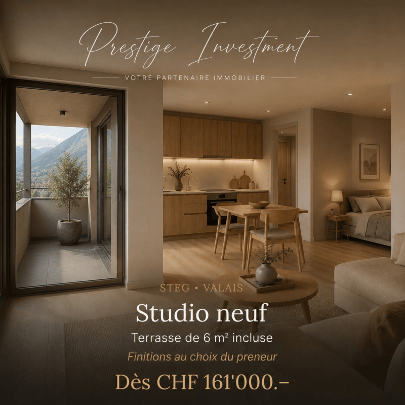 STUDIO NEU IN STEG (VS) - AB CHF 161'000 (1)