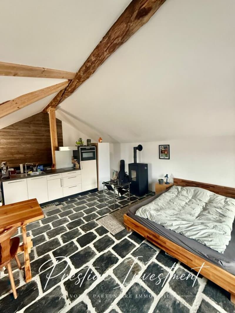 STUDIO INCANTEVOLE - 52 M2, MASE! (MONT-NOBLE) (2)