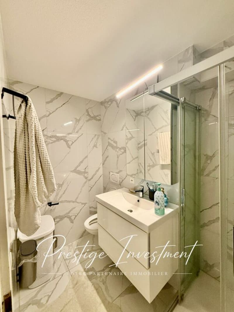 Renovated 4.5-room apartment of 132 m2 in Conthey (15)