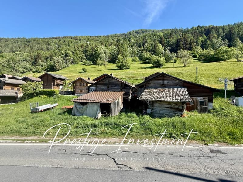 LAND WITH BARN AND STABLE TO RENOVATE NENDAZ (3)