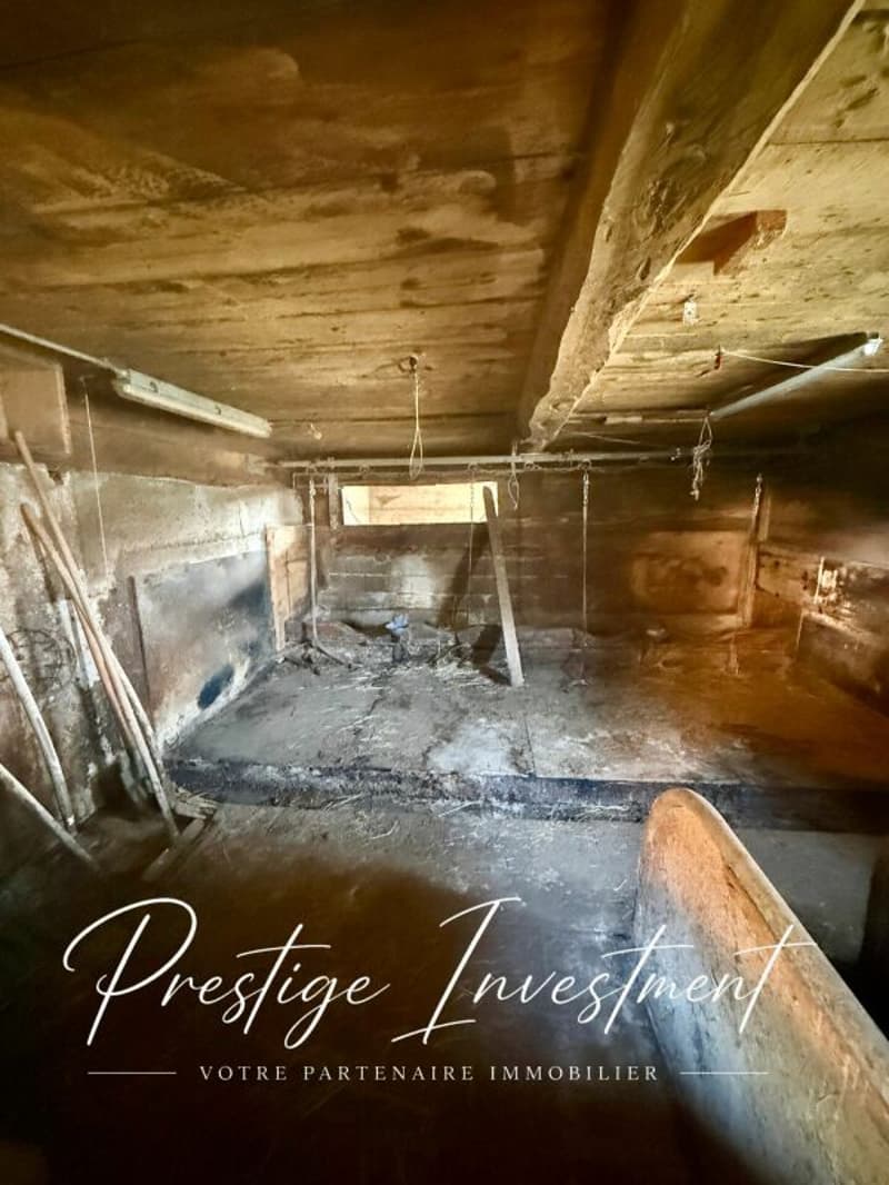 LAND WITH BARN AND STABLE TO RENOVATE NENDAZ (5)