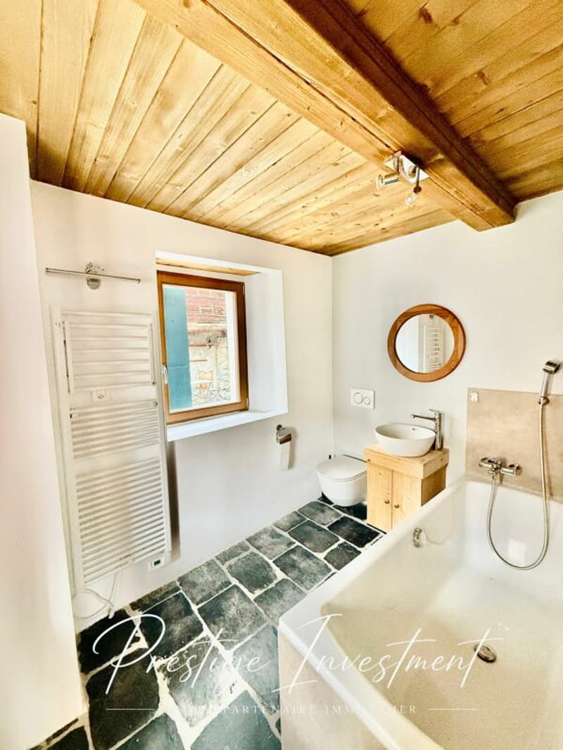 MAGNIFICENT RENOVATED 3.5 ROOM DUPLEX + LOCAL/WORKSHOP - MASE (MONT-NOBLE) (8)