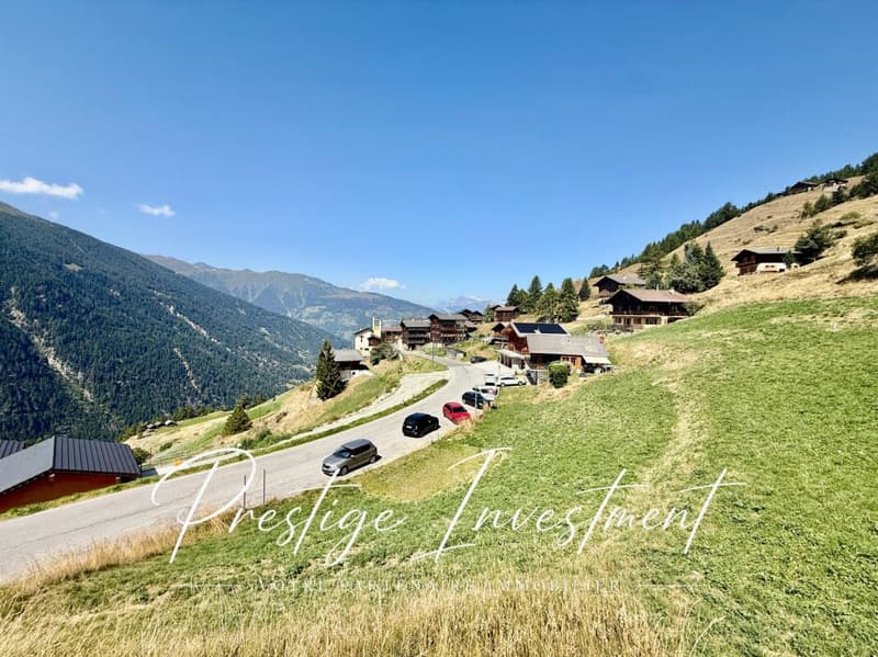 TERRENO DI 3747 M2 - EISON (ST-MARTIN) (3)