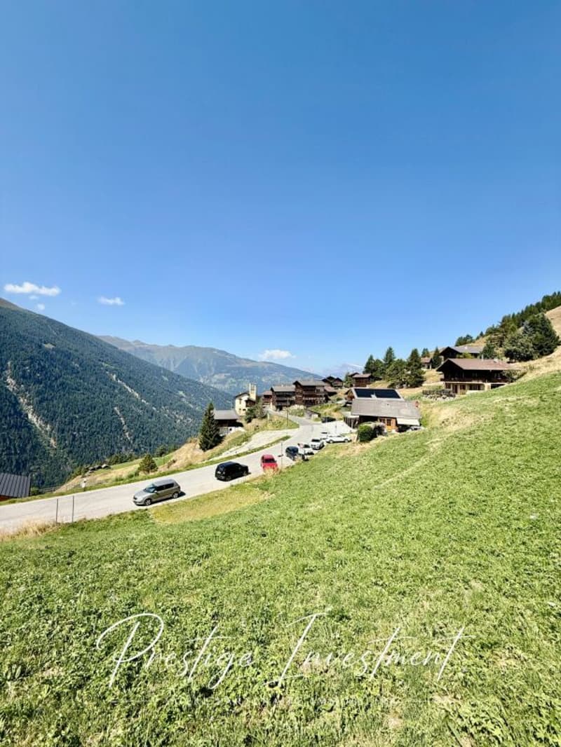 TERRENO DI 3747 M2 - EISON (ST-MARTIN) (5)