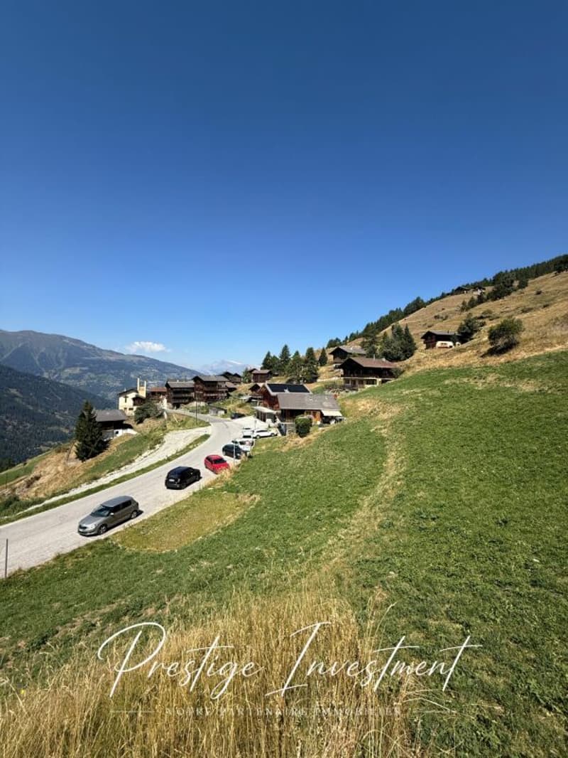 TERRENO DI 3747 M2 - EISON (ST-MARTIN) (2)