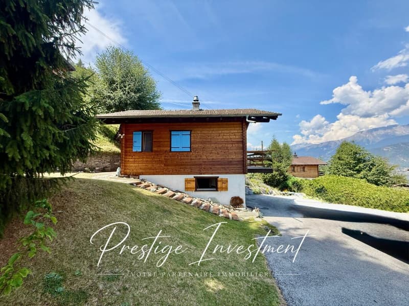 Affascinante Chalet Individuale nel Cuore della Natura (4)