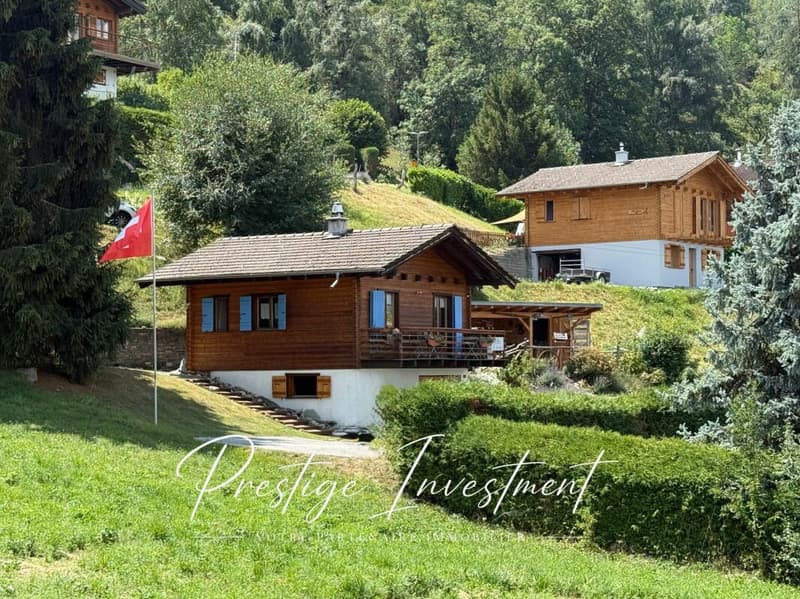 Affascinante Chalet Individuale nel Cuore della Natura (2)