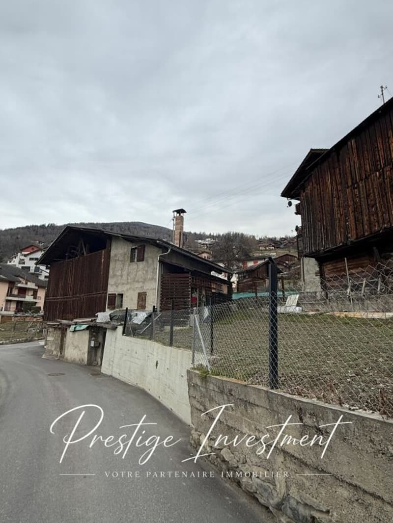 Transformierbare Scheune VEX (14)