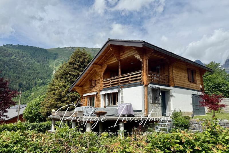 HAVRE DE PAIX AU COEUR DES ALPES VALAISANNES OVRONNAZ (4)