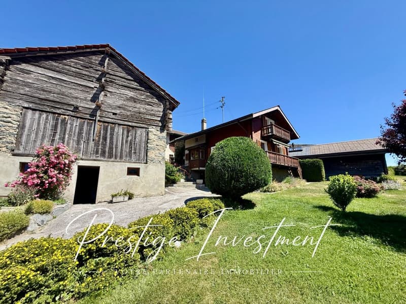 Affascinante chalet di 4,5 locali con annessi - Nax (3)