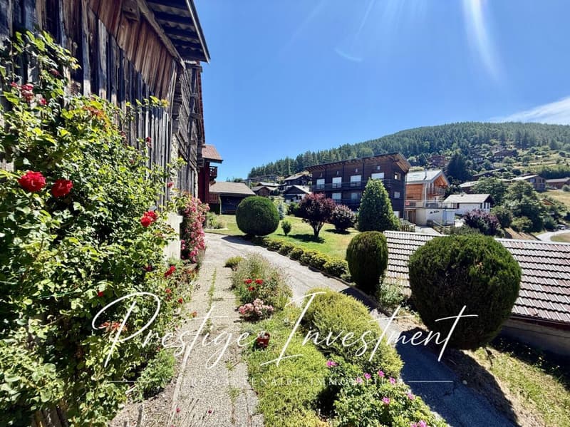 Affascinante chalet di 4,5 locali con annessi - Nax (23)