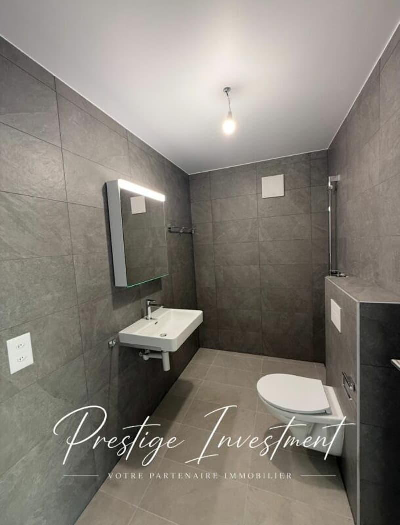 Ground Floor, 2.5-Room Minergie Apartment, Sion (6)