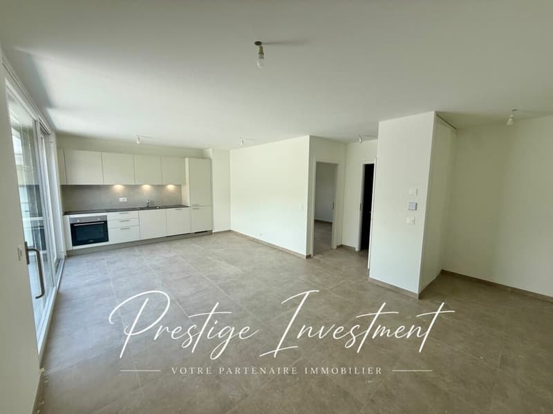 Attique 2.5 pièces neuf avec terrasse et vue montagnes ? Uvrier / Sion (1)