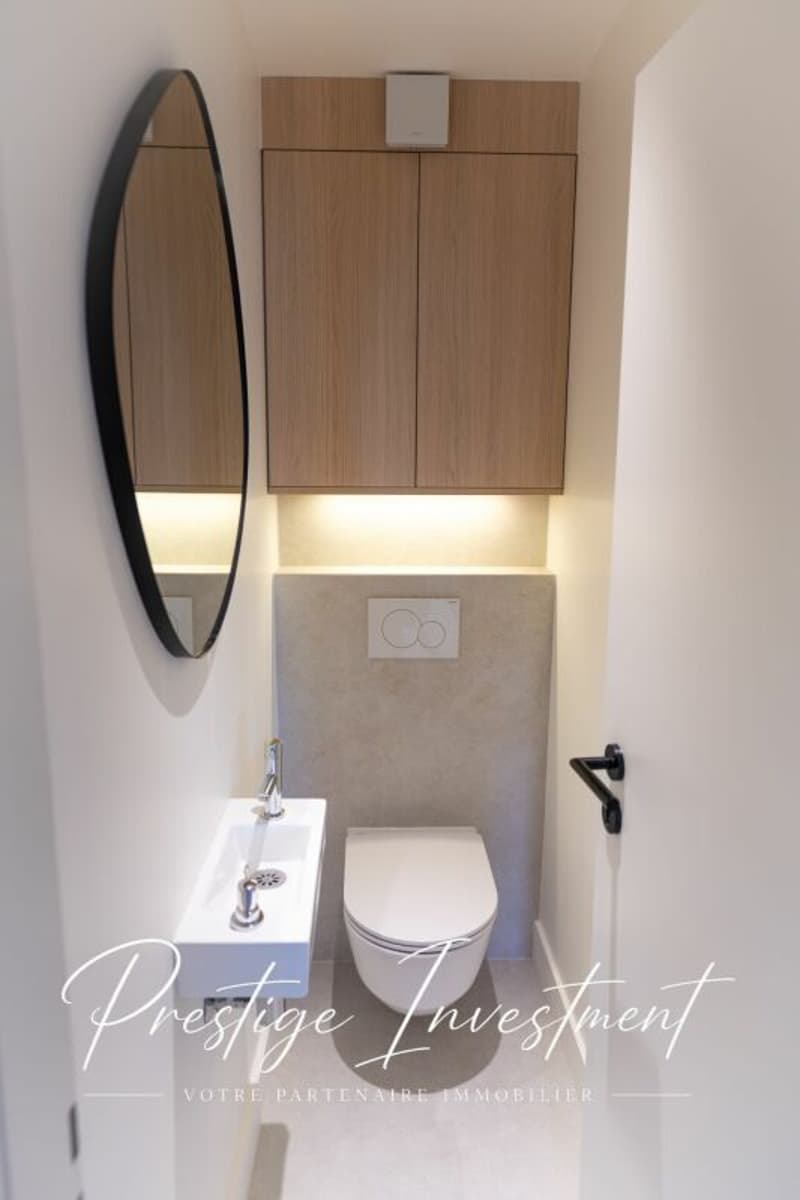 APPARTEMENT DE 3.5 PCS AU PIED DU LAC LÉMAN MONTREUX (14)