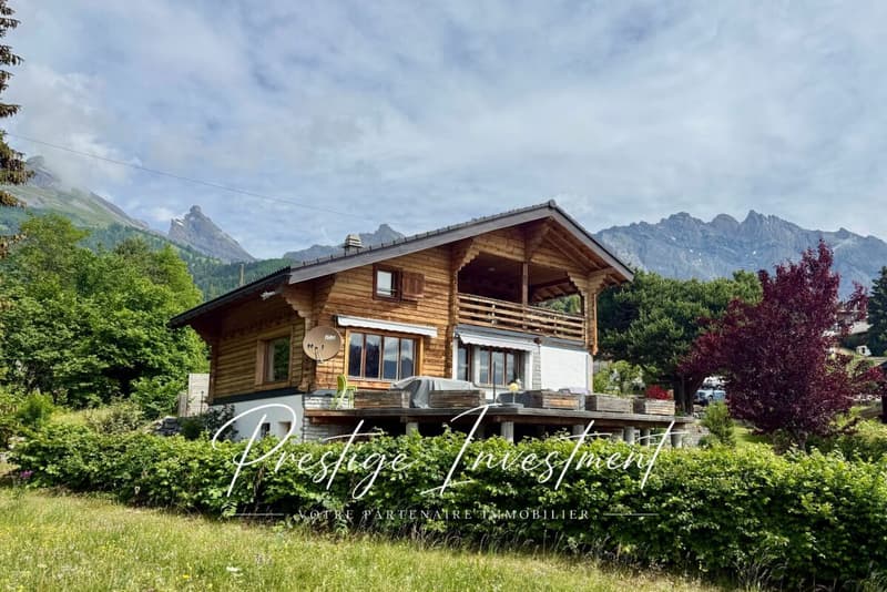 HAVRE DE PAIX AU COEUR DES ALPES VALAISANNES OVRONNAZ (1)