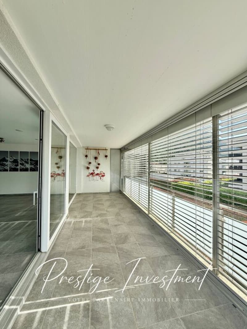 APPARTEMENT LUMINEUX EN TERRASSE DE 5.5 PCS & 148 M2 APROZ (6)