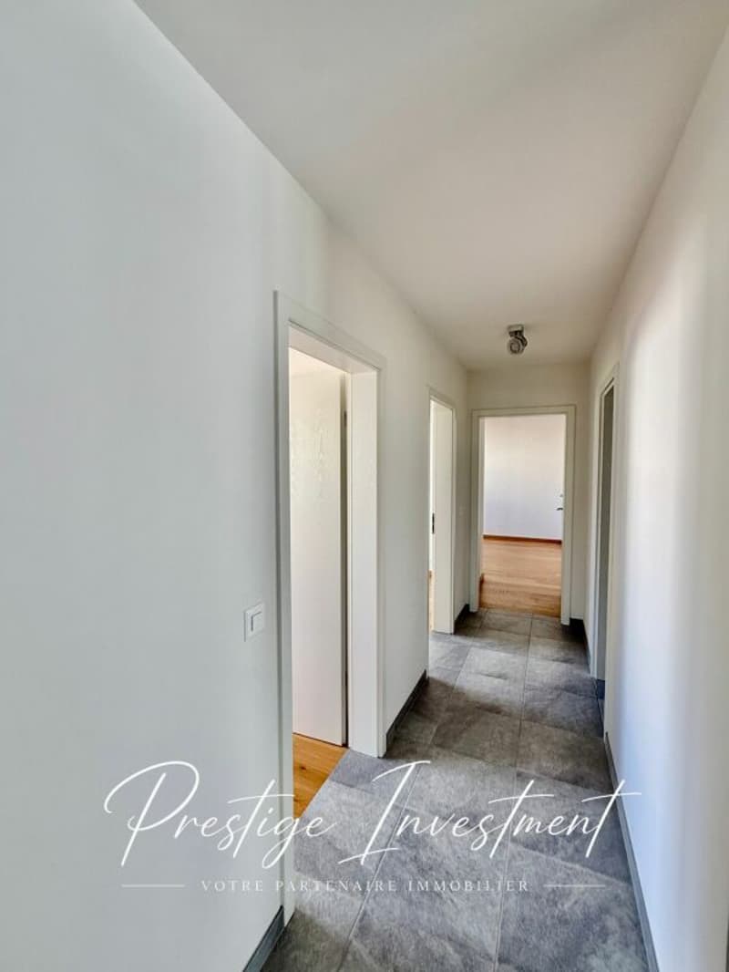 APPARTEMENT LUMINEUX EN TERRASSE DE 5.5 PCS & 148 M2 APROZ (16)