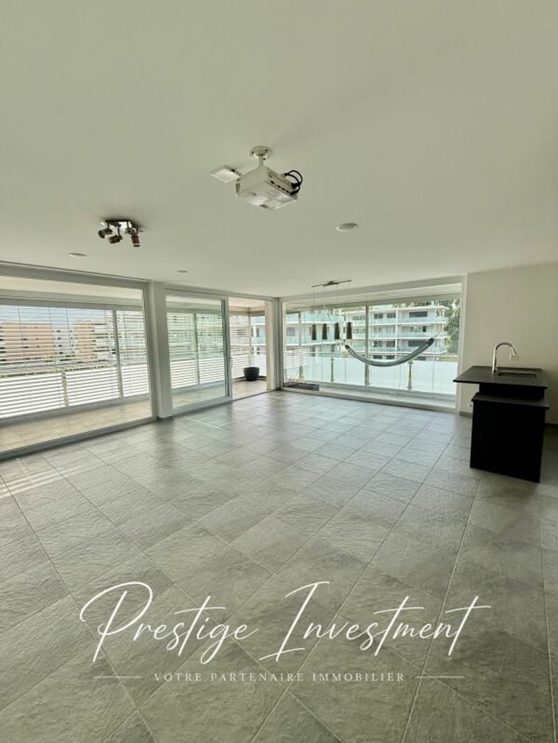 APPARTEMENT LUMINEUX EN TERRASSE DE 5.5 PCS & 148 M2 APROZ (4)