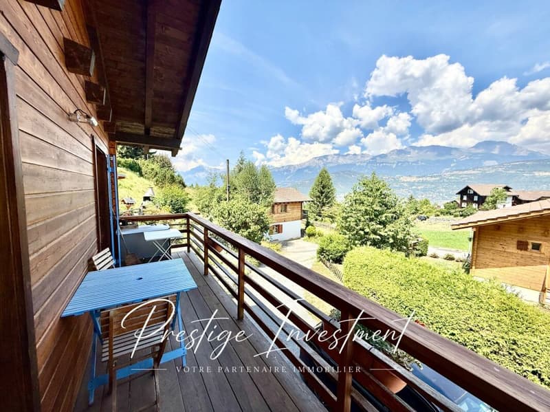 CHARMANT CHALET INDIVIDUEL AU COEUR DE LA NATURE (7)