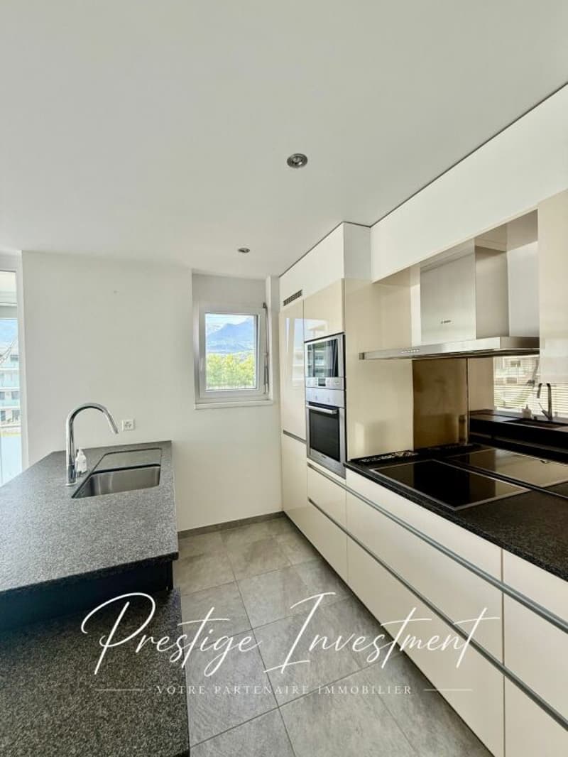 APPARTEMENT LUMINEUX EN TERRASSE DE 5.5 PCS & 148 M2 APROZ (8)