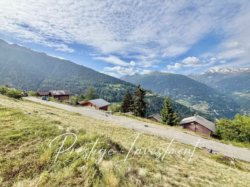 TERRAIN DE 885 M2 AVEC PERMIS EN FORCE - MAYENS DE MASE (5)