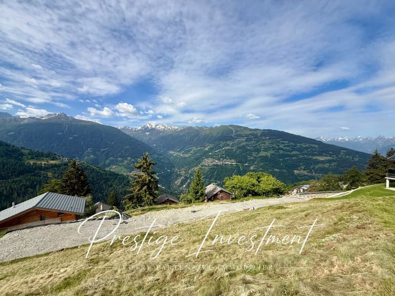 TERRAIN DE 885 M2 AVEC PERMIS EN FORCE - MAYENS DE MASE (3)
