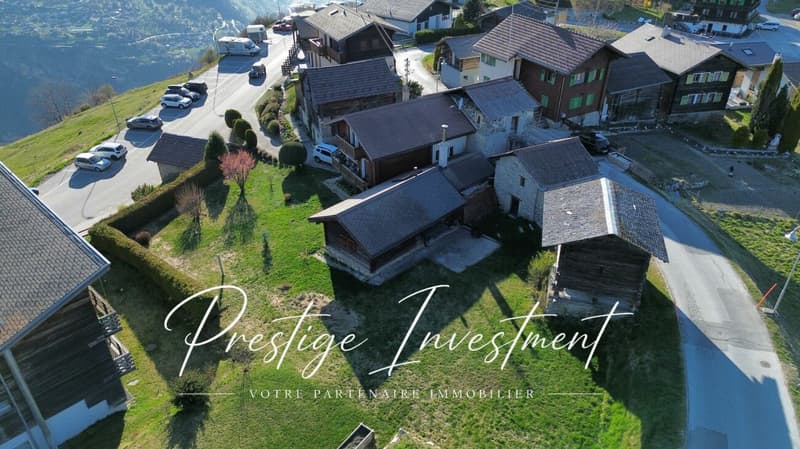 CHARMANT CHALET DE 4,5 PCES AVEC DÉPENDANCES - NAX (4)