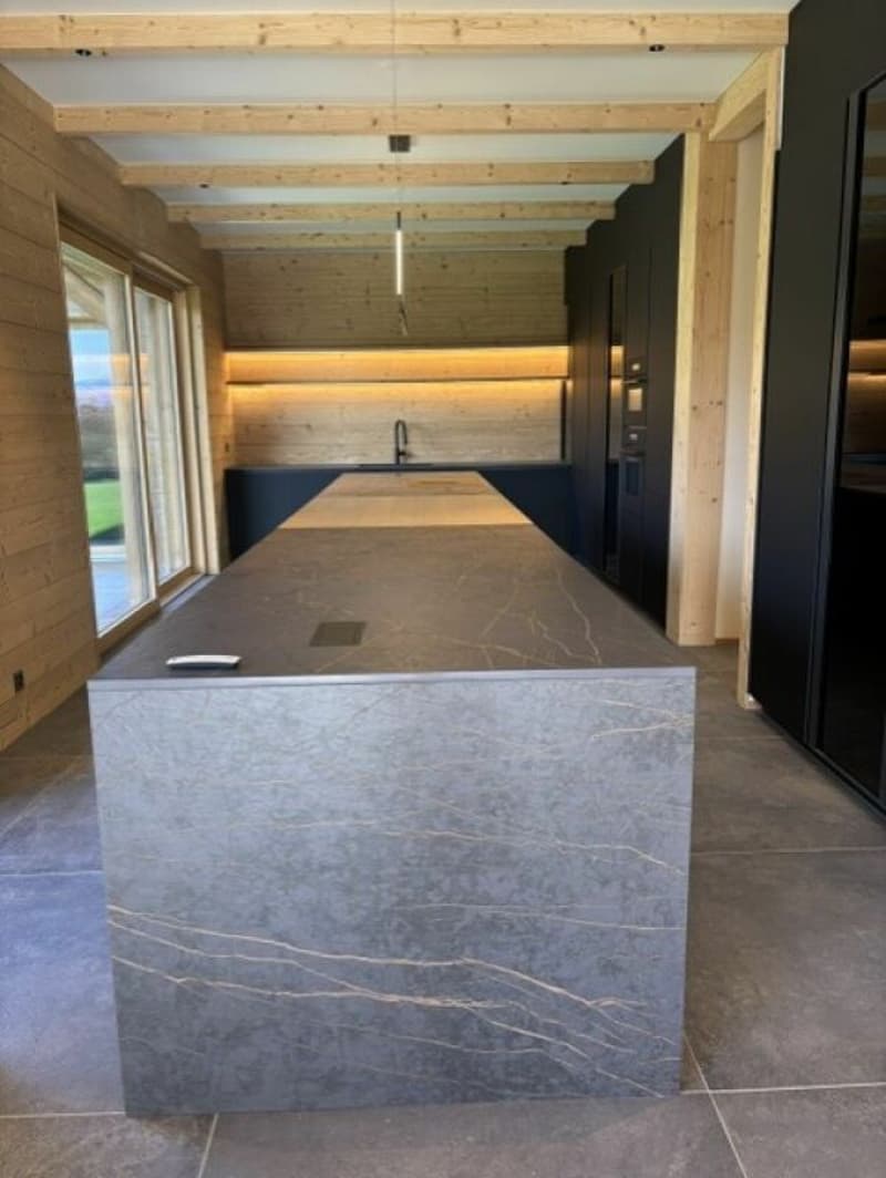 Magnifique Chalet Prestige: le golf en voisin, les Alpes en horizon. (4)